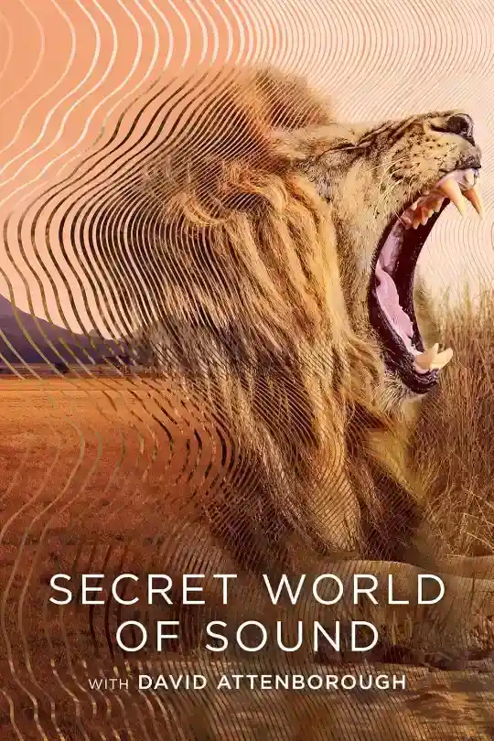 Secret World of Sound with David Attenborough – S01 (2024) Dual Audio {Hindi-English} WEB-Series WeB-DL