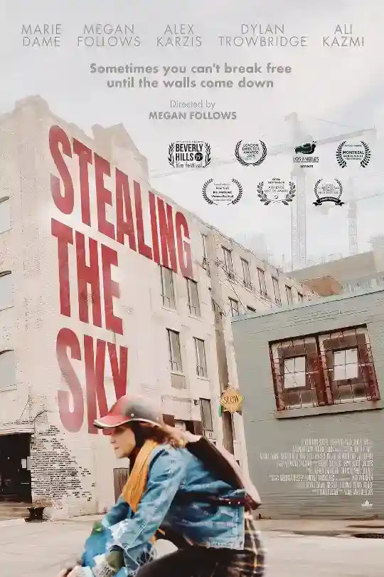 Stealing the Sky (2025) WEB-DL {English With Subtitles} Full Movie